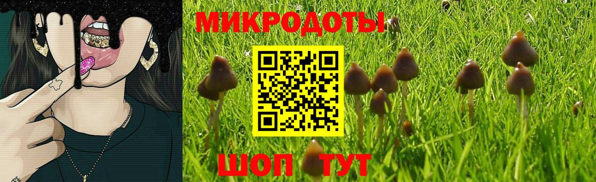Александров  Галлюциногенные грибы прущие грибы  Вход с VPN  Галлюциногенные грибы Psilocybine cubensis 